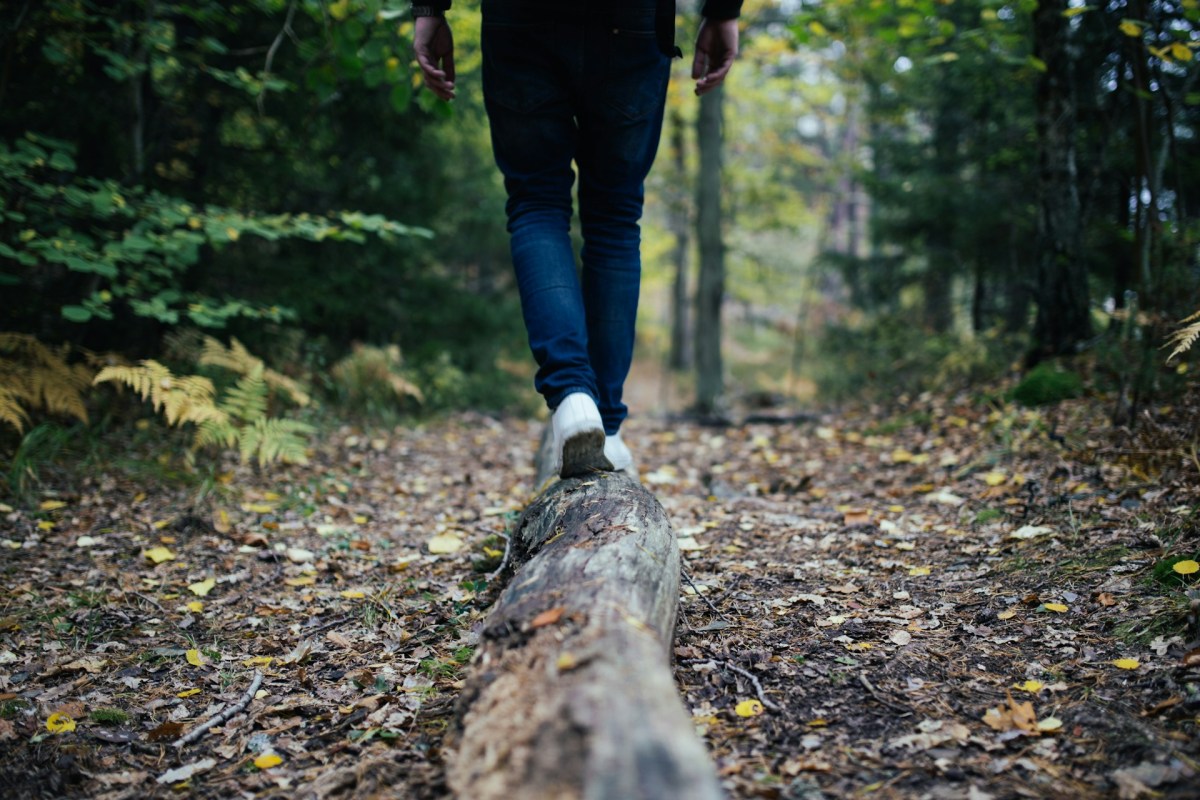 Man balances on a log as he walks through the forest.